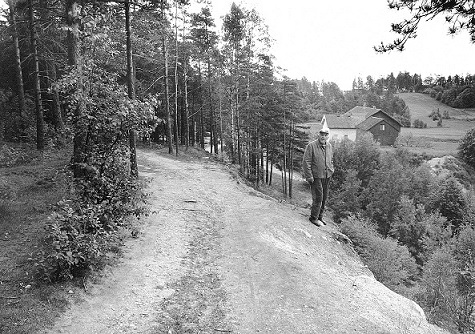 Gamle Kongevei ved Haraldstad