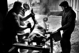 Slakting av gris i 1978