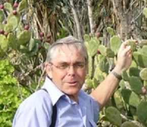 Knut Sigmund Dalen