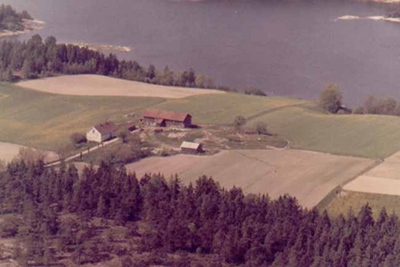 Tømmerholt i 1968