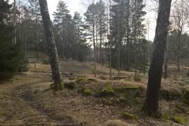 Husmannsplassen Vestre Skogen